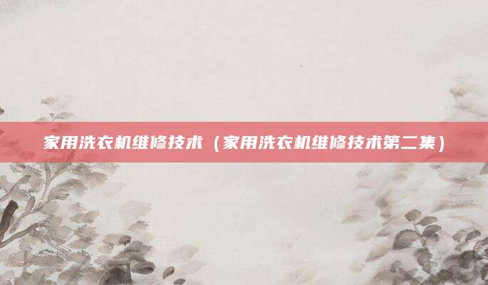 家用洗衣机维修技术（家用洗衣机维修技术第二集）