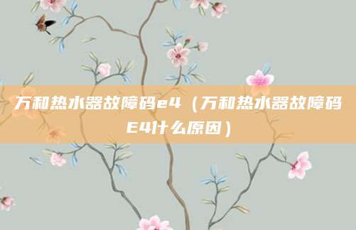 万和热水器故障码e4（万和热水器故障码E4什么原因）