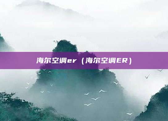 海尔空调er（海尔空调ER）