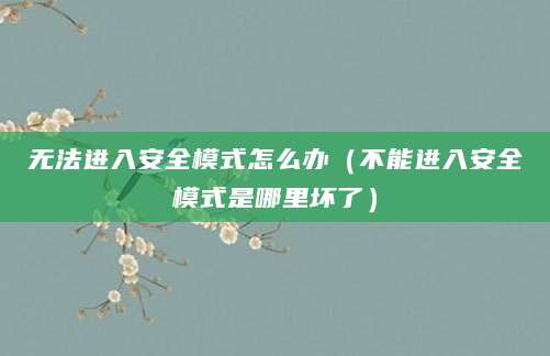 无法进入安全模式怎么办（不能进入安全模式是哪里坏了）