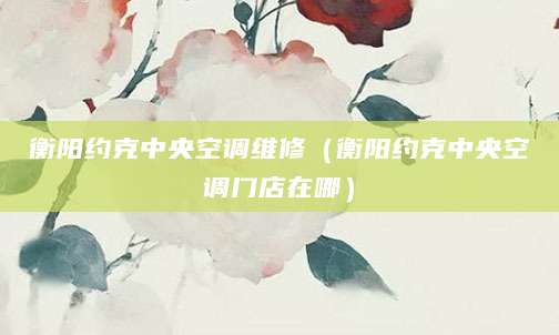 衡阳约克中央空调维修（衡阳约克中央空调门店在哪）