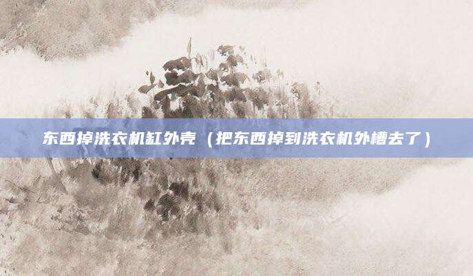 东西掉洗衣机缸外壳（把东西掉到洗衣机外槽去了）