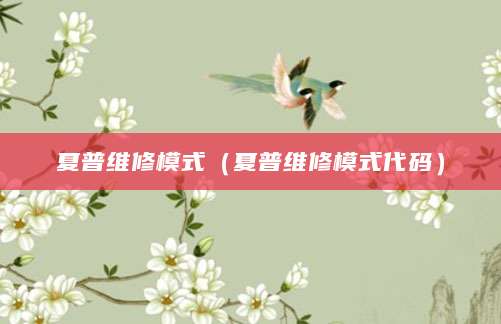 夏普维修模式（夏普维修模式代码）