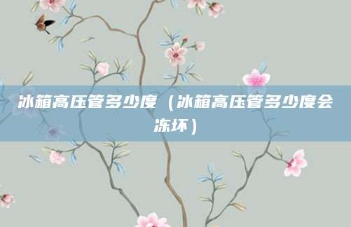 冰箱高压管多少度（冰箱高压管多少度会冻坏）