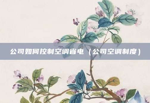 公司如何控制空调省电（公司空调制度）