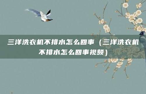 三洋洗衣机不排水怎么回事（三洋洗衣机不排水怎么回事视频）