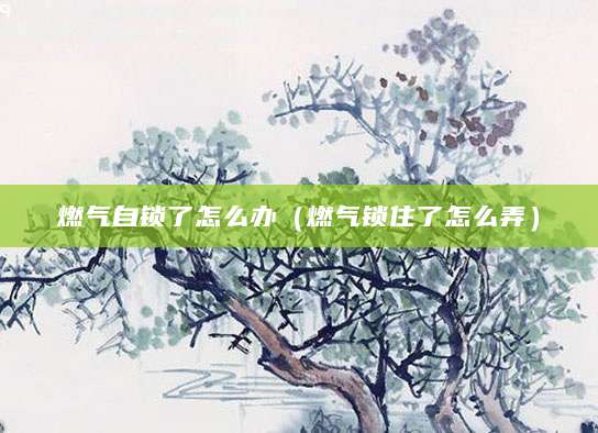 燃气自锁了怎么办（燃气锁住了怎么弄）