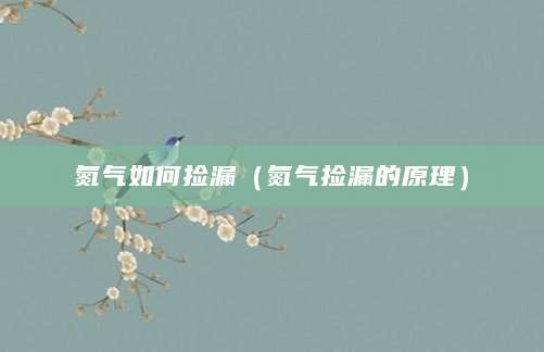 氮气如何捡漏（氮气捡漏的原理）