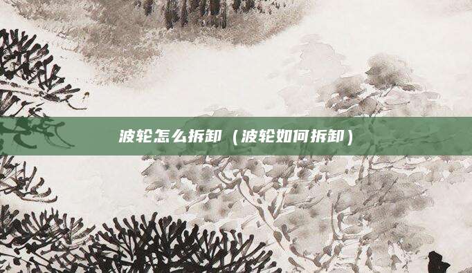 波轮怎么拆卸（波轮如何拆卸）