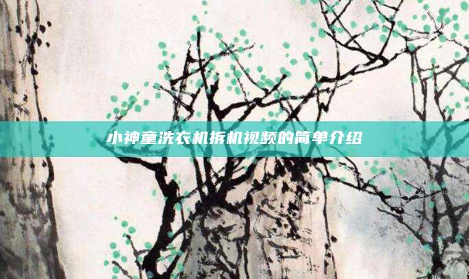 小神童洗衣机拆机视频的简单介绍