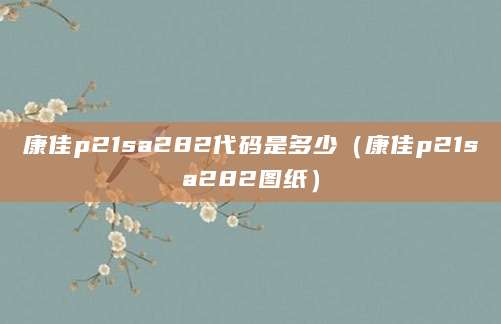康佳p21sa282代码是多少（康佳p21sa282图纸）