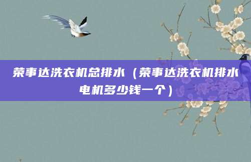荣事达洗衣机总排水（荣事达洗衣机排水电机多少钱一个）