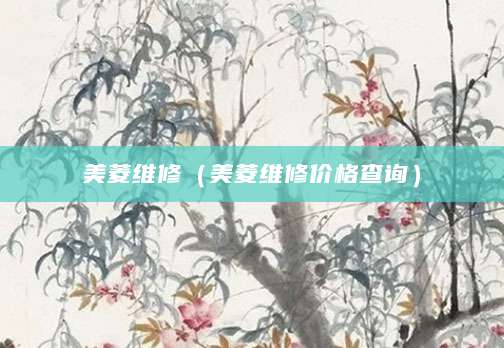 美菱维修（美菱维修价格查询）