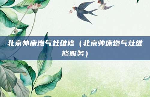 北京帅康燃气灶维修（北京帅康燃气灶维修服务）
