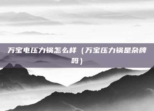 万宝电压力锅怎么样（万宝压力锅是杂牌吗）