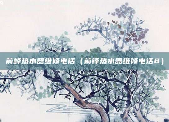 前峰热水器维修电话（前锋热水器维修电话8）