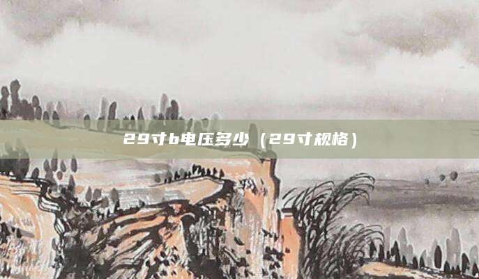 29寸b电压多少（29寸规格）