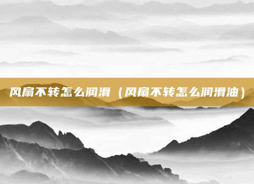 风扇不转怎么润滑（风扇不转怎么润滑油）