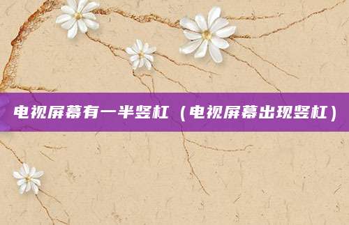 电视屏幕有一半竖杠（电视屏幕出现竖杠）