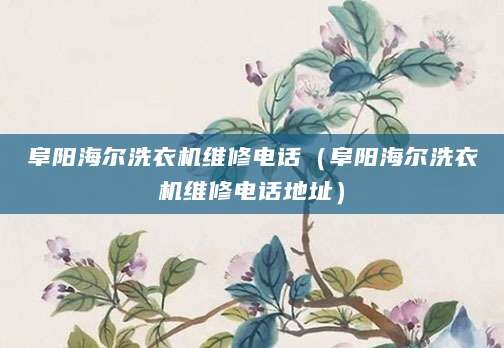 阜阳海尔洗衣机维修电话（阜阳海尔洗衣机维修电话地址）