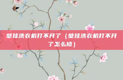壁挂洗衣机打不开了（壁挂洗衣机打不开了怎么修）