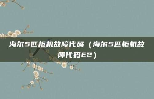 海尔5匹柜机故障代码（海尔5匹柜机故障代码E2）