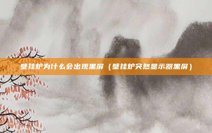 壁挂炉为什么会出现黑屏（壁挂炉突然显示器黑屏）