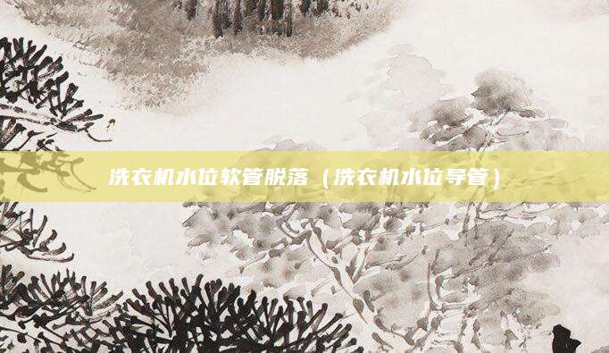 洗衣机水位软管脱落（洗衣机水位导管）