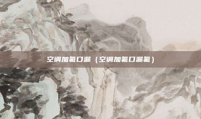 空调加氟口漏（空调加氟口漏氟）