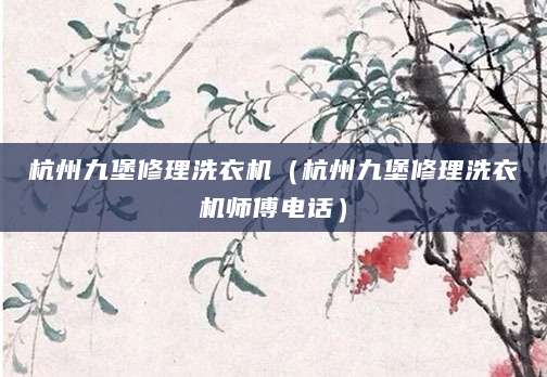 杭州九堡修理洗衣机（杭州九堡修理洗衣机师傅电话）