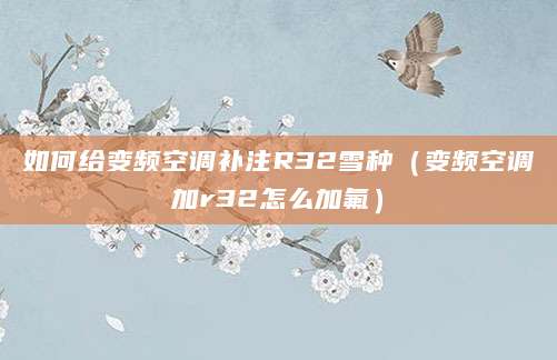 如何给变频空调补注R32雪种（变频空调加r32怎么加氟）