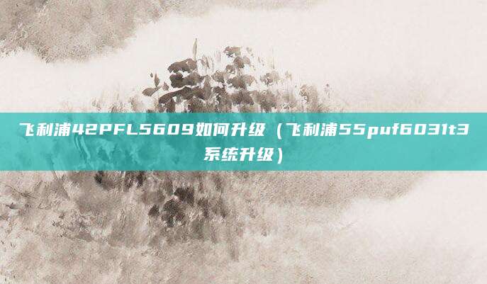 飞利浦42PFL5609如何升级（飞利浦55puf6031t3系统升级）