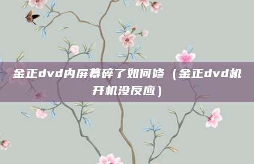 金正dvd内屏幕碎了如何修（金正dvd机开机没反应）