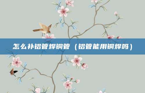 怎么补铝管焊铜管（铝管能用铜焊吗）