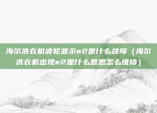 海尔洗衣机波轮显示e2是什么故障（海尔洗衣机出现e2是什么意思怎么维修）