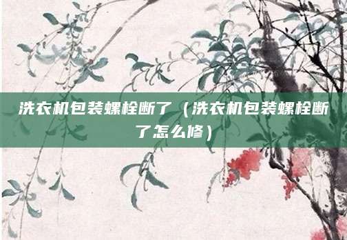 洗衣机包装螺栓断了（洗衣机包装螺栓断了怎么修）