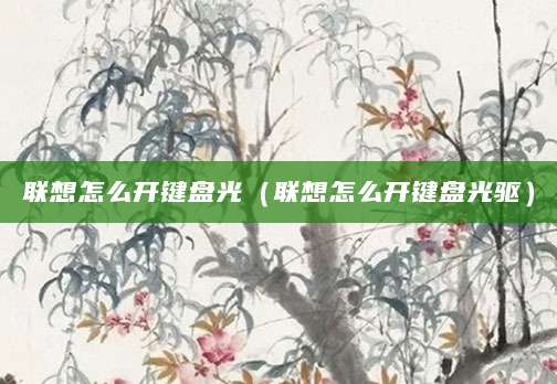 联想怎么开键盘光（联想怎么开键盘光驱）
