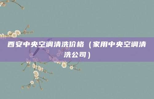 西安中央空调清洗价格（家用中央空调清洗公司）