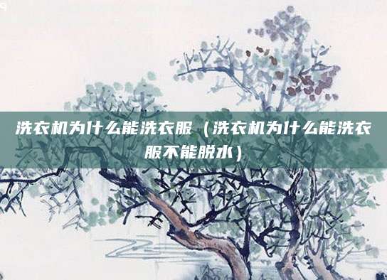 洗衣机为什么能洗衣服(洗衣机为什么能洗衣服不能脱水)
