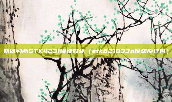 如何判断STK4231模块好坏（stk621033n模块原理图）