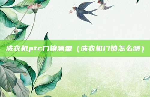 洗衣机ptc门锁测量（洗衣机门锁怎么测）