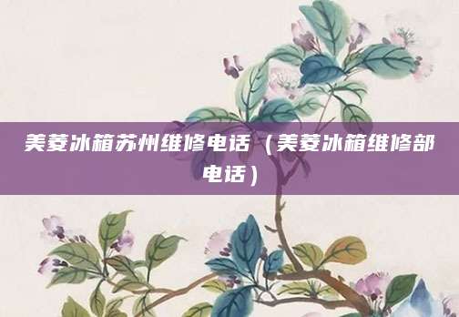 美菱冰箱苏州维修电话(美菱冰箱维修部电话)