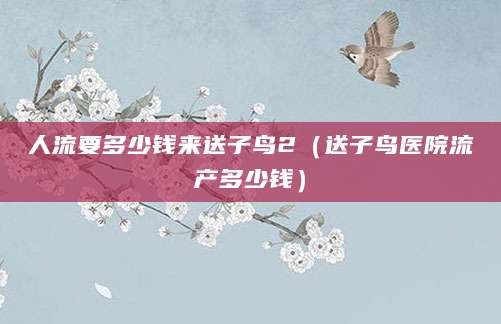 人流要多少钱来送子鸟2（送子鸟医院流产多少钱）