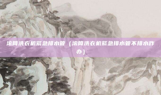 滚筒洗衣机紧急排水管（滚筒洗衣机紧急排水管不排水咋办）