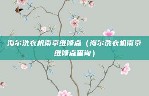 海尔洗衣机南京维修点（海尔洗衣机南京维修点查询）