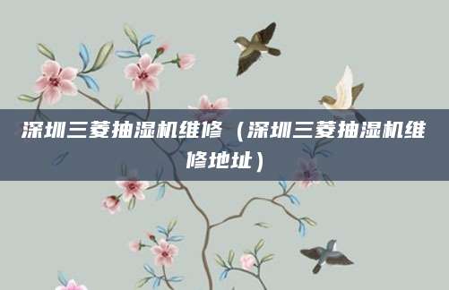 深圳三菱抽湿机维修（深圳三菱抽湿机维修地址）