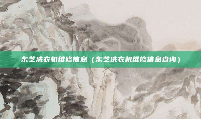 东芝洗衣机维修信息（东芝洗衣机维修信息查询）