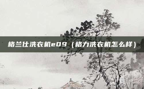 格兰仕洗衣机e09(格力洗衣机怎么样)