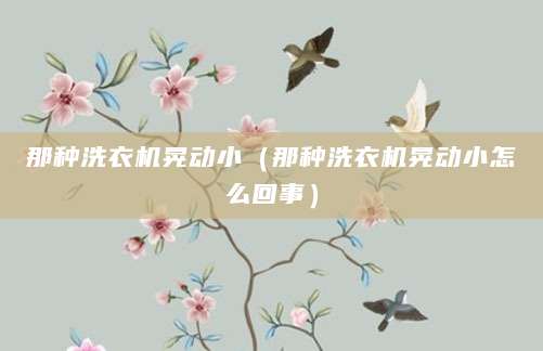 那种洗衣机晃动小（那种洗衣机晃动小怎么回事）