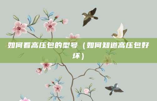 如何看高压包的型号（如何知道高压包好坏）